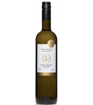 Sauvignon white 2023 -...